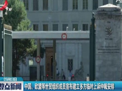 中国、欧盟等世贸组织成员宣布建立多方临时上诉仲裁安排