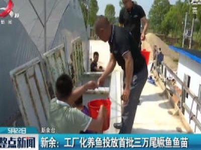 新余：工厂化养鱼投放首批三万尾鳜鱼鱼苗