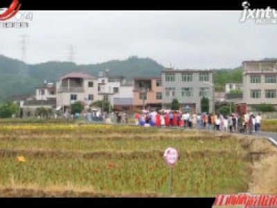 【文化+旅游 拓宽脱贫致富路】景德镇大垅村：旅游+扶贫 让风景变“钱”景