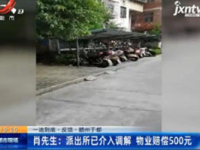 【一追到底·反馈】赣州于都·肖先生：派出所已介入调解 物业赔偿500元
