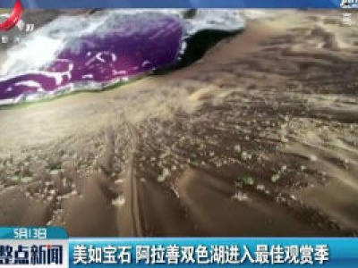美如宝石 阿拉善双色湖进入最佳观赏季
