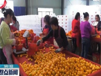 抚州：南丰蜜桔获美国准入通行证