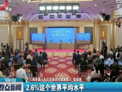 【关注全国两会】张业遂：中国不存在“隐性军费”问题