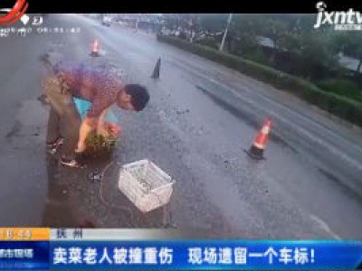 抚州：卖菜老人被撞重伤 现场遗留一个车标！
