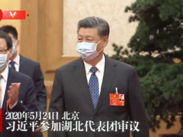 独家视频丨习近平参加湖北代表团审议