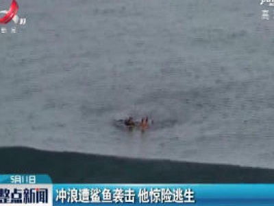 澳大利亚：冲浪遭鲨鱼袭击 他惊险逃生