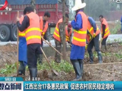 江西出台17条惠民政策 促进农村居民稳定增收