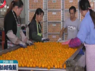 抚州：南丰蜜桔获美国准入通行证