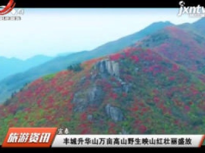 江西旅游报道20200512