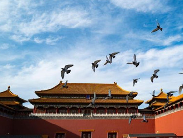 故宫，我来了！——故宫博物院有序开放首日现场直击