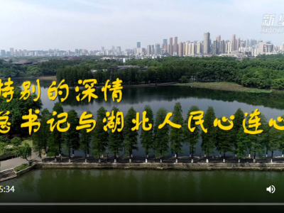 特别的深情 总书记与湖北人民心连心
