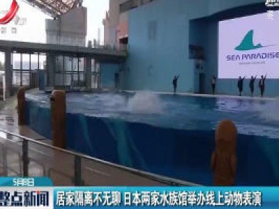 居家隔离不无聊 日本两家水族馆举办线上动物表演