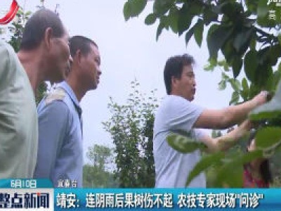 靖安：连阴雨后果树伤不起 农技专家现场”问诊”