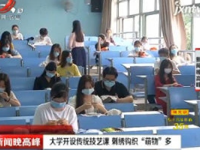 南昌：大学开设传统技艺课 刺绣钩织“萌物”多