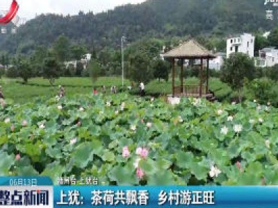 上犹：茶荷共飘香 乡村游正旺