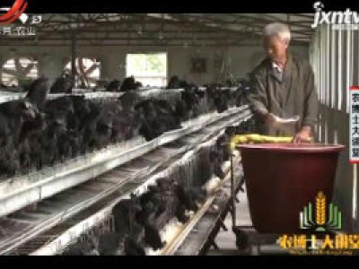 农博士大讲堂20200623 四川山地乌骨鸡的养殖技术