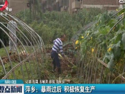 萍乡：暴雨过后 积极恢复生产