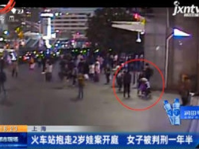 上海：火车站抱走2岁娃案开庭 女子被判刑一年半
