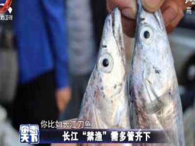 长江“禁渔”需多管齐下