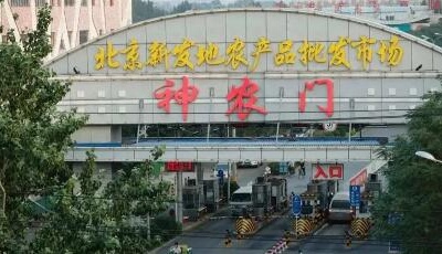 从北到南紧急下架的三文鱼，还能吃吗？专家这样分析