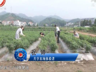 社会传真20200609 共享农场：诗意栖息地如何更有“钱景”