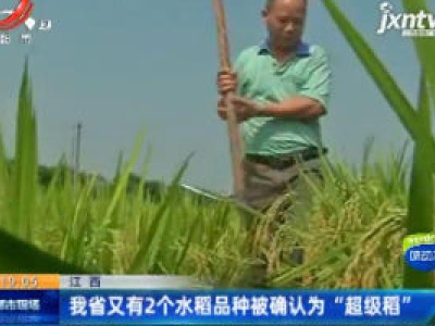 江西：我省又有2个水稻品种被确认为“超级稻”