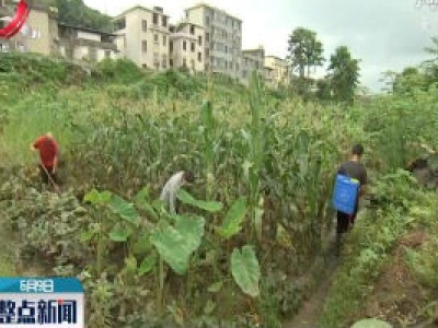 【直播连线】萍乡：积水消退 灾后清淤防疫进行中