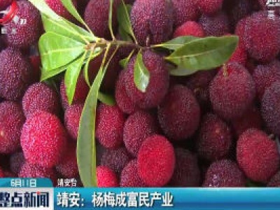 靖安：杨梅成富民产业