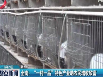 全南：“一村一品” 特色产业助农民增收致富