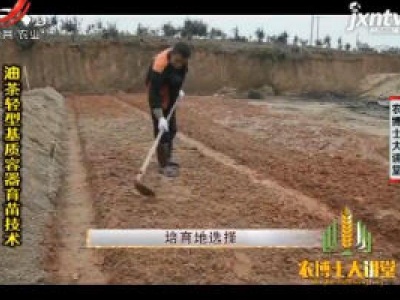 农博士大讲堂20200624 油茶轻型基质容器育苗技术