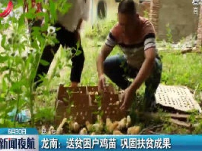 【迎“七一”】龙南：送贫困户鸡苗 巩固扶贫成果