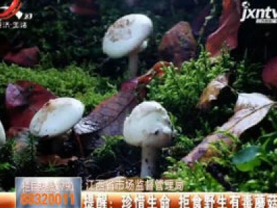 【江西省市场监督管理局】提醒：珍惜生命 拒食野生有毒蘑菇