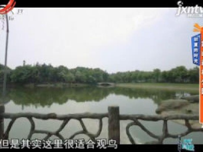 初夏的时光——象山森林公园