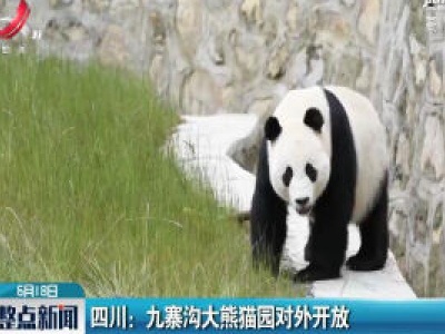 四川：九寨沟大熊猫园对外开放