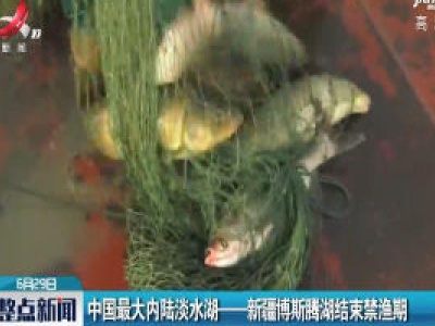 中国最大内陆淡水湖——新疆博斯腾湖结束禁渔期