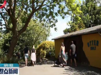 伦敦动物园重新对公众开放