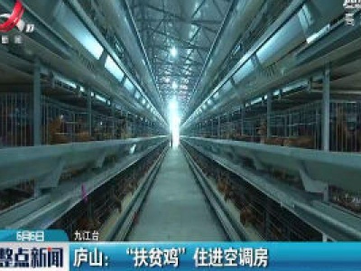 庐山：“扶贫鸡”住进空调房