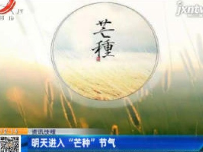 6月5日进入“芒种”节气