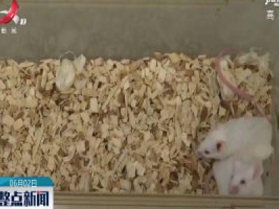 纤维母细胞重编程让失明小鼠“重见光明”