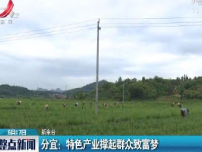 分宜：特色产业撑起群众致富梦