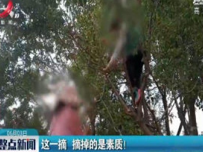 河南：这一摘 摘掉的是素质！