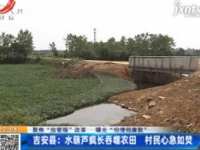 【聚焦“放管服”改革 曝光“怕慢假庸散”】吉安县：水葫芦疯长吞噬农田 村民心急如焚