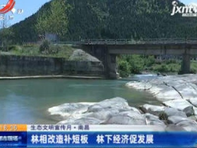 【生态文明宣传月】南昌：林相改造补短板 林下经济促发展