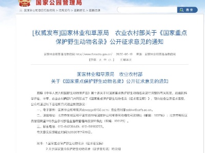 征求意见了！长江江豚拟升级为国家一级保护动物