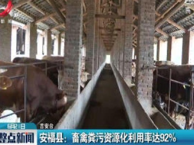 安福县：畜禽粪污资源化利用率达92%
