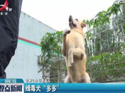 【珍爱生命 远离毒品】缉毒犬“多多”