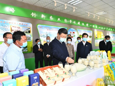 习近平在银川考察调研