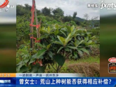 【一追到底·声音】抚州东乡·曾女士：荒山上种树能否获得相应补偿？