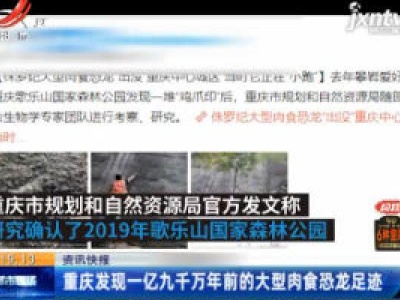 重庆发现一亿九千万年前的大型肉食恐龙足迹