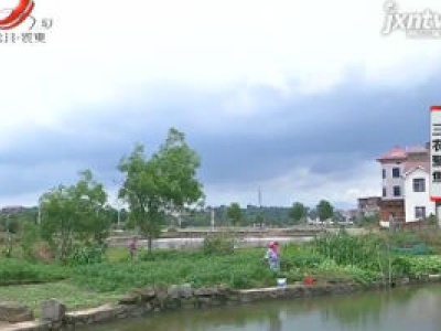 三农聚焦20200617 秀美木马重文明